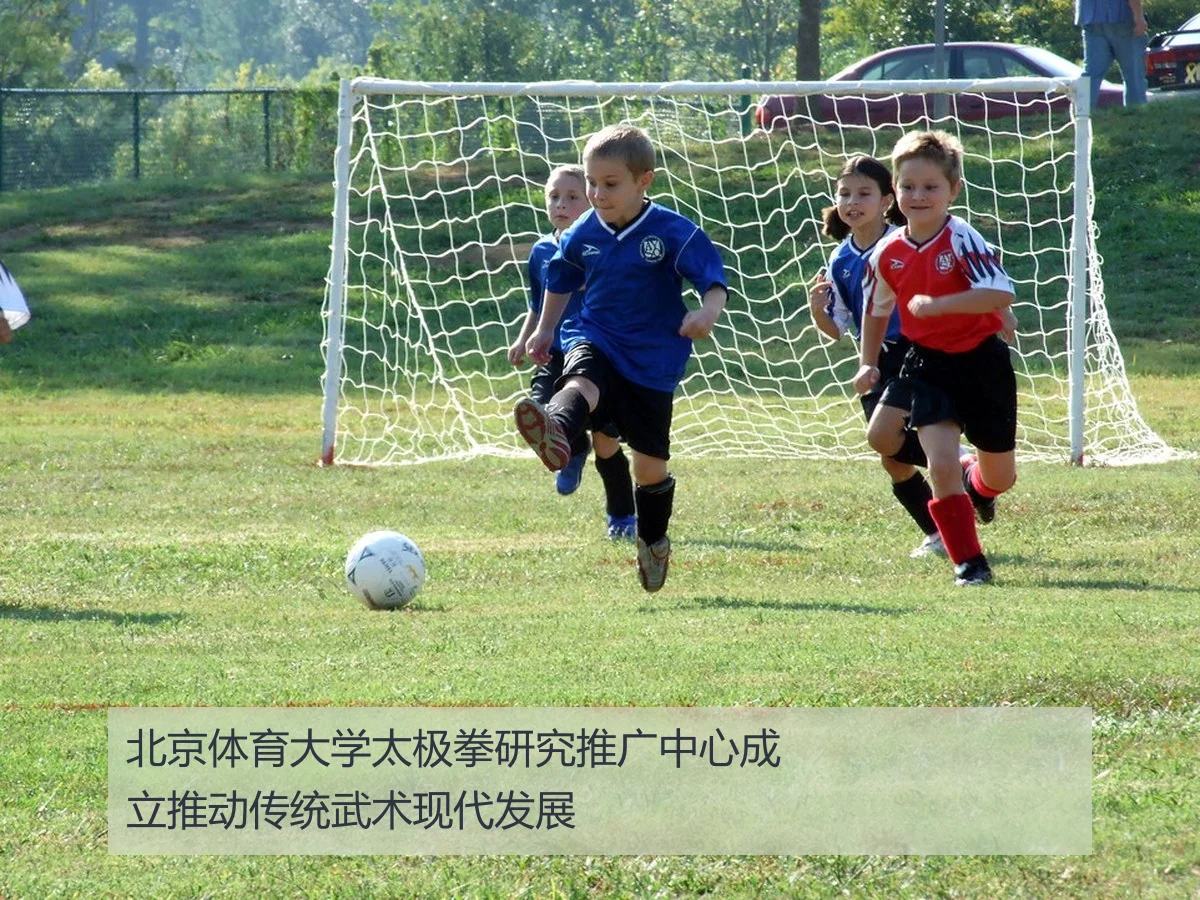北京体育大学太极拳研究推广中心成立推动传统武术现代发展