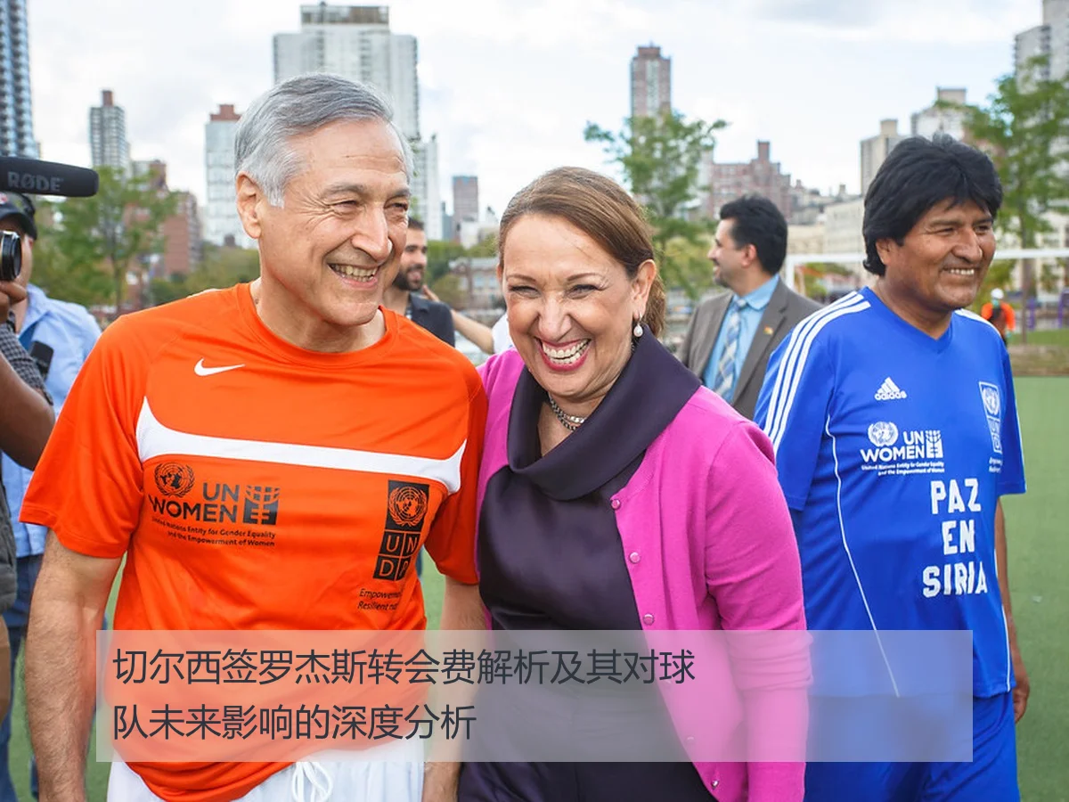 切尔西签罗杰斯转会费解析及其对球队未来影响的深度分析